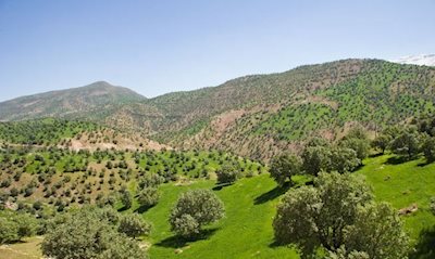 منطقه حفاظت شده هلن